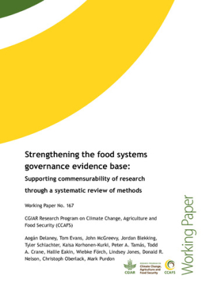 WP 167 Final.pdf.jpg