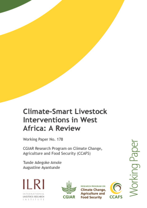 WP 178 FINAL.pdf.jpg