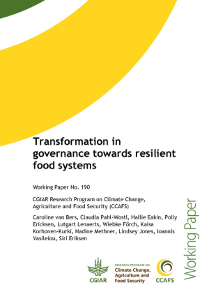 WP 190 van Bers et al. FINAL.pdf.jpg