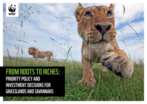 WWF GRASSLANDS REPORT.pdf.jpg