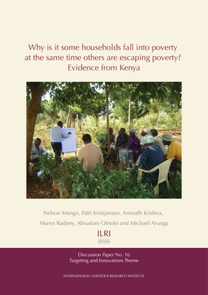 WhyHouseholdsFall_Poverty_DiscPaper16.pdf.jpg