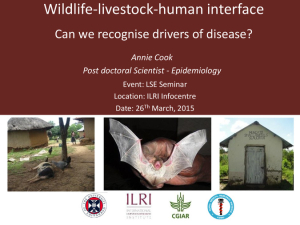 Wildlife livestock human interface.pdf.jpg