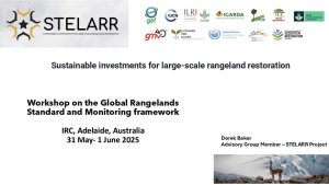 Workshop on the Global Rangelands Standard- Presentation.pdf.jpg