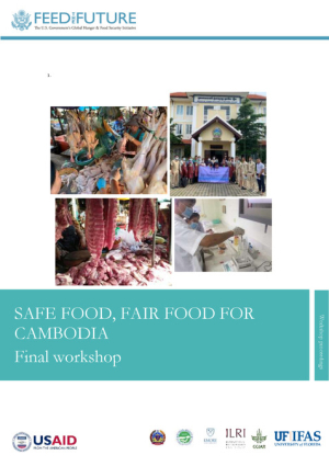 Workshop proceedings.pdf.jpg