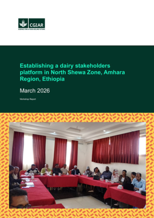 WorkshopReport_SAAF_Northshewaplatform.pdf.jpg