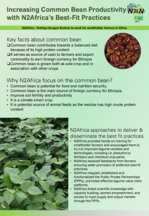 Z2_IncreasingCommonBean.pdf.jpg