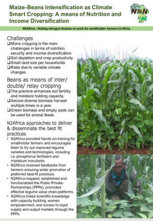 Z4_MaizeBeansIntensification.pdf.jpg