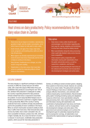 Zambia Policy Brief.pdf.jpg