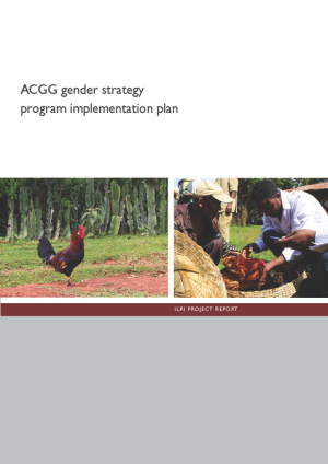 acgg_program_implementation_plan.pdf.jpg