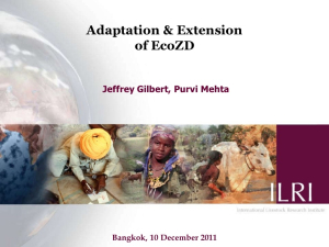 adaptation ecozd.jpg