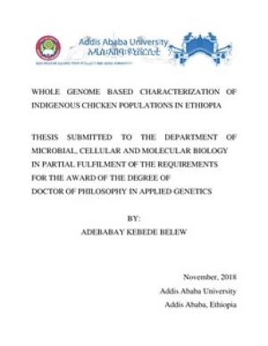 adebabay_thesis.pdf.jpg