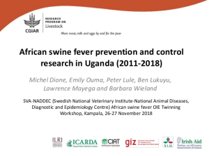 african-swine-fever-prevention.jpg