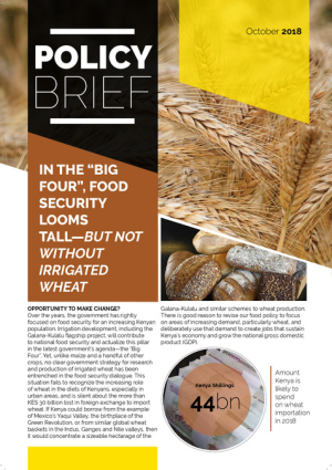 agrifose_macharia_oct2018.pdf.jpg