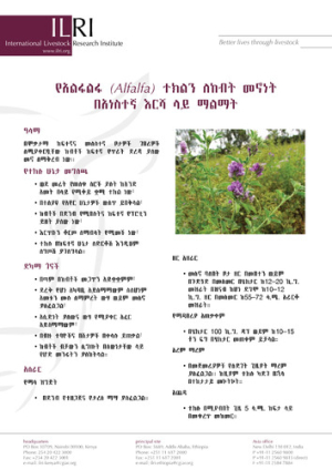 alfalfaamharic.pdf.jpg