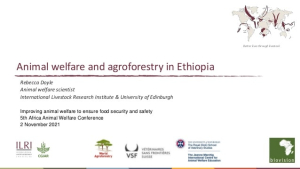 animal-welfare.jpg