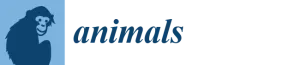 animals.jpg