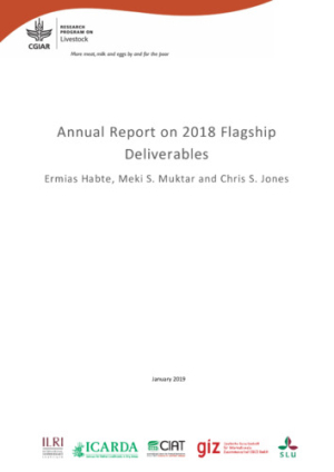 annual_report_2018_flagship_deliverables.pdf.jpg