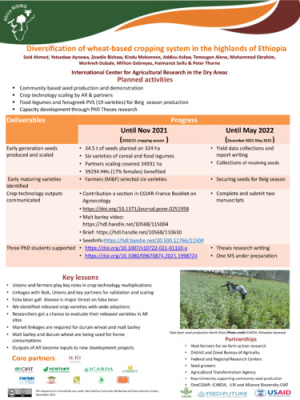 ar_diversification_of_wheat_poster_2021.pdf.jpg