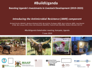 boosting-ugandas-investments-in-livestock-development.jpg