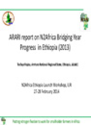 bridgingreport_eiar.jpg
