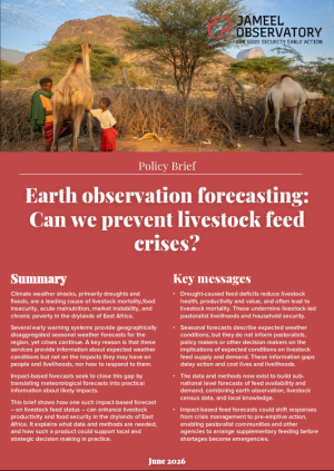 brief_forecasting.pdf.jpg