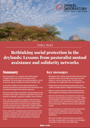 brief_social_protection_v2.pdf.jpg