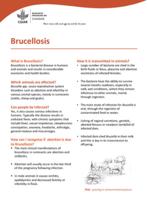 brucellosis.pdf.jpg