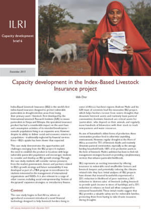 capdev_brief6_web.pdf.jpg