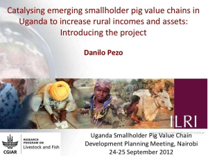catalysing-emerging-smallholder-pig-value-chains-in-uganda-to-increase-rural-incomes-and-assets-introducing-the-project-1-1024.jpg
