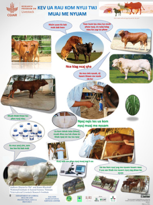 cattle_breeding_poster_hm.pdf.jpg