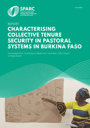 characterising_collective_tenure_BurkinaFaso.pdf.jpg