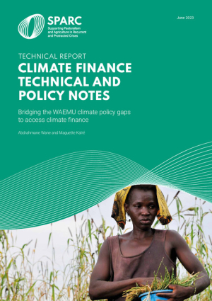 climate-finance-technical-and-policy-notes-technical-report.pdf.jpg