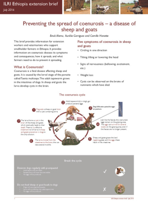 coenurosis_brief_july2016.pdf.jpg
