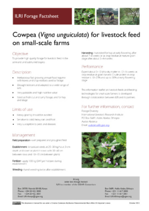 cowpea.pdf.jpg