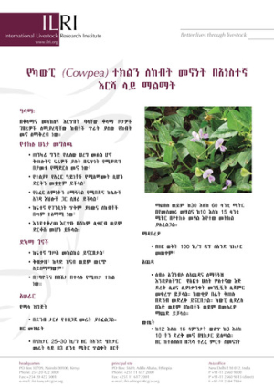 cowpeaamharic.pdf.jpg