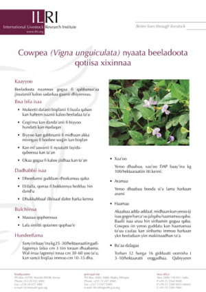 cowpeaoromifa.pdf.jpg