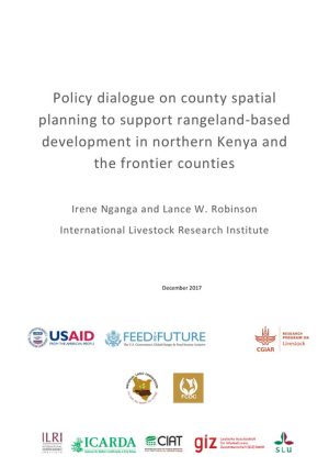 csp_policy_dialogue_report.pdf.jpg