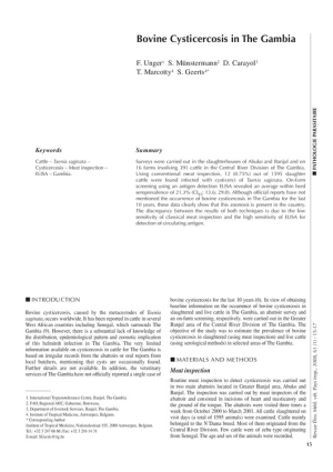 dbastia,+EMVT08_015_017.pdf.jpg