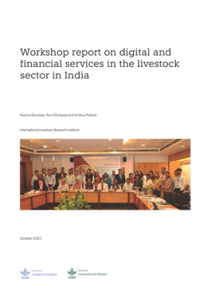 digitalFinancialServices_India.pdf.jpg