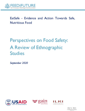 eatsafe-perspectives-on-food-safety-a-review-of-ethnographic-studies.pdf.jpg