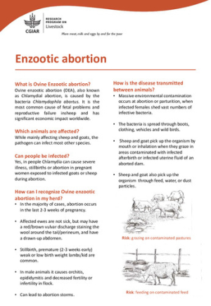 enzootic.pdf.jpg