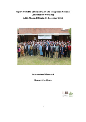 ethiopia_integration_dec2015.pdf.jpg