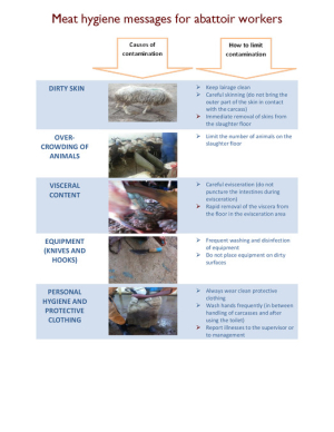 ethiopia_meat_hygiene_jul2015.pdf.jpg