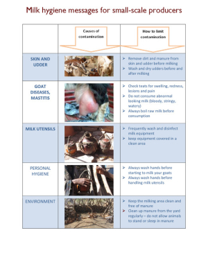 ethiopia_milk_hygiene_jul2015.pdf.jpg