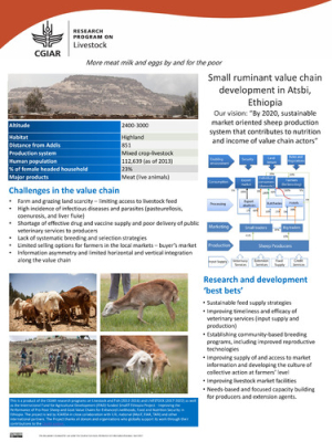 ethiopia_site_poster_2017_Atsbi.pdf.jpg