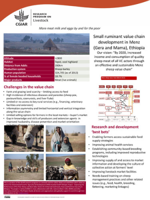 ethiopia_site_poster_2017_Menz.pdf.jpg