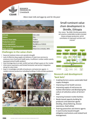 ethiopia_site_poster_2017_Shinille.pdf.jpg