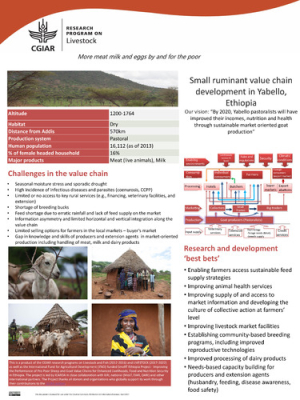 ethiopia_site_poster_2017_Yabello.pdf.jpg