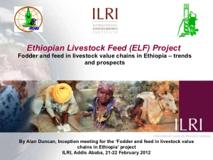 ethiopian-livestock-feed-elf-project-fodder-and-feed-in-livestock-value-chains-in-ethiopia-1-728.jpg