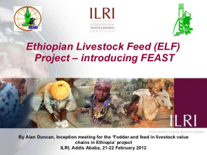 ethiopian-livestock-feed-elf-project-introducing-feast-1-728.jpg